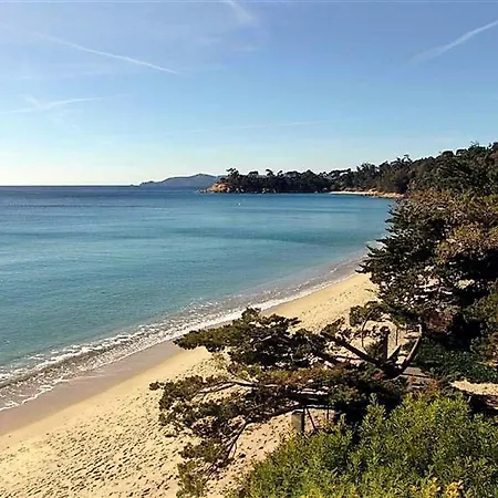 T2 Climatise Avec Piscine, Terrasse, Parking Et Wi-fi - 4 Couchages, - Fr-1-251-540 Le Lavandou