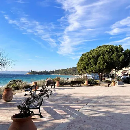 Apartman T2 Climatise Avec Piscine, Terrasse, Parking Et Wi-fi - 4 Couchages, - Fr-1-251-540 Le Lavandou