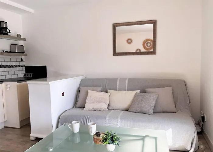 T2 Climatise Avec Piscine, Terrasse, Parking Et Wi-fi - 4 Couchages, - Fr-1-251-540 Le Lavandou