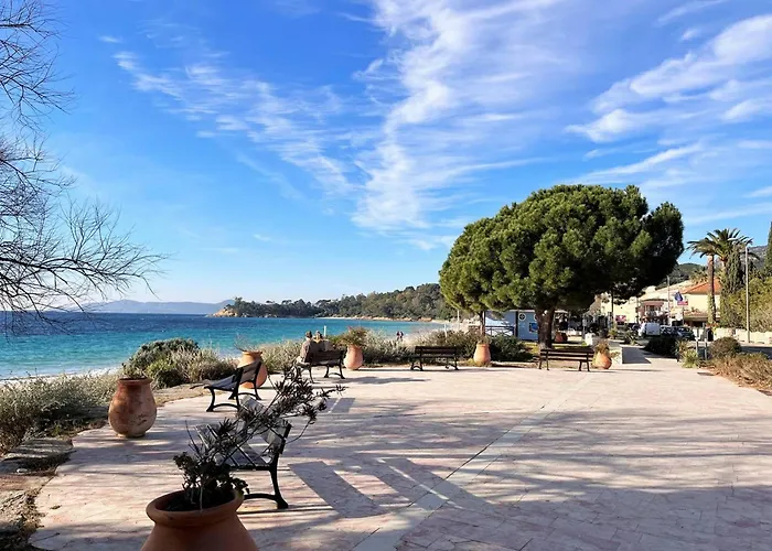 Apartman T2 Climatise Avec Piscine, Terrasse, Parking Et Wi-fi - 4 Couchages, - Fr-1-251-540 Le Lavandou